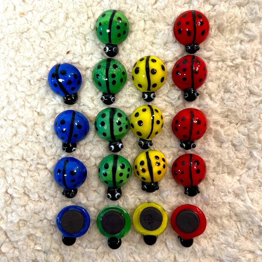 Geo Central Colorful Ladybug Asst'd Colors Magnet Set